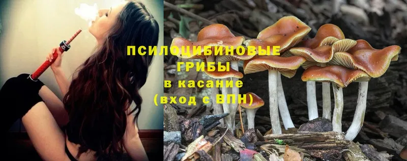 Галлюциногенные грибы MAGIC MUSHROOMS  ссылка на мегу как зайти  Петушки 